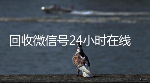回收微信号24小高价回收vx秒结平台时在线秒结（回收微信号网站）